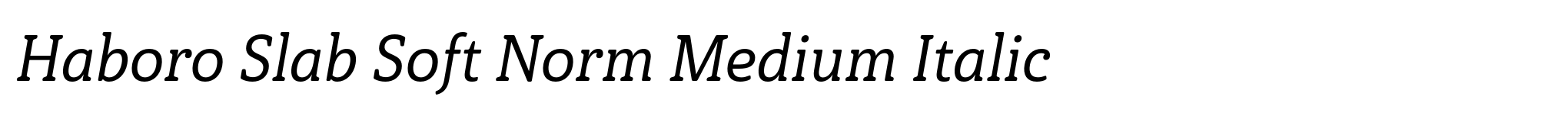 Haboro Slab Soft Norm Medium Italic image